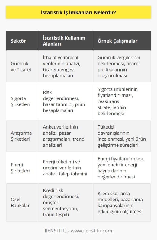 Bir konu üzerinde kullanılan girdilerin neticesinde elde edilen çıktıları doğru bir şekilde değerlendirilmesinde   nden faydalanılır. Bu durum nin çok sayıda sektörde yer almasına olanak tanır. Gümrük v  , sigorta şirketleri, araştırma şirketleri, enerji şirketleri, özel bankalar çalıma imkanlarına verilecek örneklerdir.