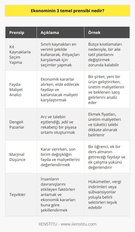 Ekonominin temel prensipleri üzerine yapılan araştırmalar, bu alandaki kavramları ve işleyişleri çözümlemeye yardımcı olan prensipleri ortaya koyar. Ekonominin üç temel prensibini şu başlıklar altında inceleyebiliriz: kıt kaynaklarla seçim yapma, fayda maliyet analizi ve dengeli pazarlar.  Kıt Kaynaklarla Seçim Yapma  İlk prensip kıt kaynaklarla seçim yapmayı ifade eder. Ekonominin temelinde kaynakların kıtlığı ve insanların sınırsız ihtiyaçları bulunur. Böyle bir durumda, üreticiler ve tüketiciler, kullanılabilir kaynakları en etkili ve verimli şekilde kullanarak seçimlerini yapmak zorundadır. Bu prensip, bireyler ve toplumlar için en önemli kararları alırken dikkate alınması gereken bir temel ilkedir.  Fayda-Maliyet Analizi  İkinci temel prensip olan fayda-maliyet analizi, bireylerin ve işletmelerin yapacakları yatırımlar, tüketim ve üretim süreçleri ile ilgili seçimlerde bulunurken, elde edecekleri fayda ile yapacakları maliyete göre hareket etmelerini gerekli kılmasıdır. Bu analiz, tüm ekonomik faaliyetlerde maliyetin en aza indirgenerek, elde edilecek faydanın en yüksek seviyeye çıkarılmasıyla gerçekleştirilir.  Dengeli Pazarlar  Ekonominin üçüncü temel prensibi olan dengeli pazarlar, üreticilerin ve tüketicilerin talepleri ve beklentileri doğrultusunda rasyonel bir denge sağlamak amacıyla kurulmuştur. Pazarda arz ve talep dengesi, ürün ve hizmet fiyatlarının belirlenmesinde ve tüketimi teşvik ederek ekonomik büyümeyi sürdürmekte kritik bir rol oynar. Dengeli pazarlar, üreticiler ve tüketiciler arasında adil ve rekabetçi bir ortamın sağlanmasına katkıda bulunur.  Sonuç olarak, ekonominin üç temel prensibinin; kıt kaynaklarla seçim yapma, fayda-maliyet analizi ve dengeli pazarlar olduğunu söyleyebiliriz. Bu prensipler doğrultusunda yapılan ekonomik faaliyetler ve alınan kararlar, bireysel ve toplumsal düzeyde refah seviyesini arttırmayı ve ekonomik büyümeyi desteklemeyi amaçlar.
