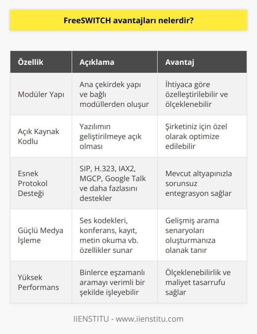 FreeSWITCH, ana çekirdek bir yapı ve buna bağlı modüllerden oluşur. Dolayısıyla ihtiyacınıza göre modüler bir yapı oluşturma şansı sunar. Ayrıca yazılımın geliştirilmeye açık olması şirketiniz için özel olarak optimize edilebilme esnekliğini getirir. 