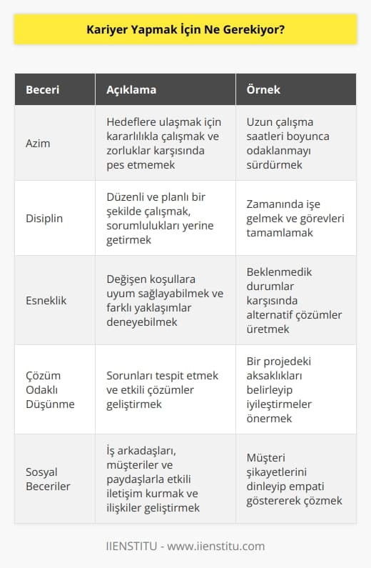 Kariyer yapmak için başarıya ulaşmak için çok titiz bir şekilde çalışmak gerekiyor. Ayrıca, sonuç odaklı hedefler koymak ve bunlara ulaşmak için her zaman en iyi çabayı göstermek gerekiyor. Bir kariyerde başarılı olmak için aynı zamanda   , disiplin, esneklik, çözüm odaklı düşünme, etkili iletişim, takım çalışması yetenekleri ve sosyal beceriler gerekiyor.