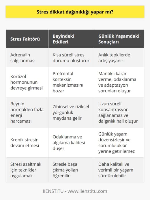 Stres ve Dikkat Dağınıklığı: Konsantrasyon Eksikliğinin Temel Etkeni  Konsantrasyon, yapılan işe tüm dikkati vererek ve zihnin bütün algılarını kullanarak odaklanma sürecidir. Ancak günümüzde insanların yaşam kalitesini düşüren en büyük sorunlardan biri konsantrasyon eksikliğidir. Peki, stres dikkat dağınıklığı yapar mı?  Stresin Beyindeki Etkileri  Bilimsel araştırmalar, dikkat dağınıklığı veya konsantrasyon eksikliğinin temel etkeninin stres olduğunu göstermektedir. Beynimiz tehlike anında adrenalin salgılayarak vücudu stres durumunda tutar. Adrenalinin etkisi kısa sürede geçse de, stres halinin devam etmesi sonucu beyin kortizol hormonunu devreye sokar.  Kortizol ve Prefontal Korteks  Yoğun odaklanma sırasında beyinde prefontal korteks tam kapasite çalışır ve sağlıklı karar verme, odaklanma, başlanan işi bitirme ve çözüme ulaşma birey için daha kolay hale gelir. Ancak kortizolun vücutta sürekli olarak bulunması prefontal korteksin mekanizmasını bozar ve kişinin algılama ve odaklanma kalitesi düşer. Bu durumda mantıklı kararlar veremez ve kısa süreli hafıza problemleri ile adaptasyon sorunu yaşar.  Zihinsel ve Fiziksel Yorgunluk  Beyin stres anında normalden daha fazla enerji harcar ve kronik stres sonucunda zihinsel ve fiziksel yorgunluk oluşur. Sürekli yorgun düşen beyin odaklanmakta zorluk çeker ve birey uzun süre bir işle ilgilenemez. Bu yüzden sık sık dalgınlık hali oluşur ve başladığı işi bitirmekten kaçınır.  Günlük Yaşamda Konsantrasyon Eksikliği  Konsantrasyon eksikliği yaşayan kişi disiplini sağlayamaz ve günlük yaşamı düzensizleşir. Odaklanma sorunu yaşayan insan zihin meşguliyeti gerektiren işleri yerine getiremez ve dış çevreye yönelir. Bu durumda sorumluluklarını yerine getirmesi zorlaşır ve kaygı artışı yaşanır.  Stresi Azaltarak Konsantrasyonu Arttırmak  Konsantrasyon eksikliğinin aktif faktörü olan stresi azaltarak daha kaliteli ve verimli yaşam sürmek bazı tekniklerle mümkündür. Stres yönetmek zor değil, sadece stresle başa çıkma yollarını öğrenmeli ve huzurlu yaşama odaklanmalıyız. Bu süreçte uzmanlar tarafından sunulan destek programlarına başvurarak sağlıklı bir yaşam sürdürülebilir.   Yazar: Kübra Sarıtay